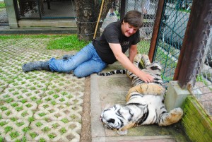 Chiang Mai Tigers